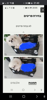 הכי זול בארץ