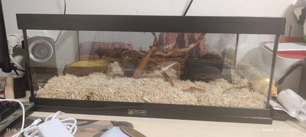 טרריום לנחש