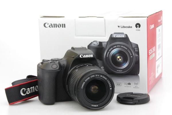 Canon EOS 250D DSLR Camera With EFS 18 55 DC III Lens Kit