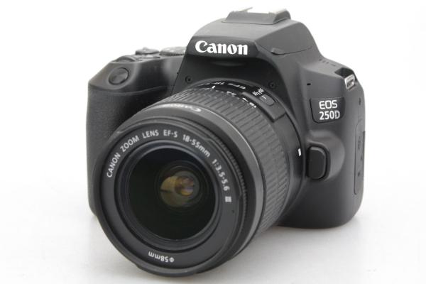 Canon EOS 250D DSLR Camera With EFS 18 55 DC III Lens Kit