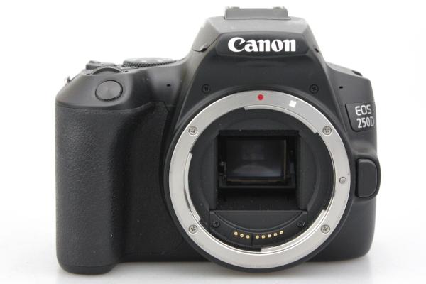 Canon EOS 250D DSLR Camera With EFS 18 55 DC III Lens Kit