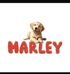 https://marleypetshop