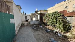 סוכות 12 (שכונה ד)