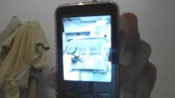 למכירה 4 תוכים יפים וחמודים