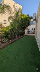 העירית 56 (צמח השדה)