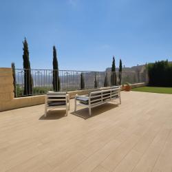 שלמה ארגוב ארנונה 4