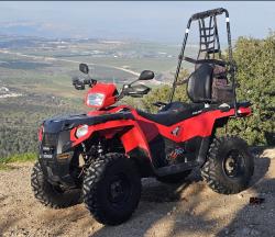 גורי פומרניאן מהממים למכירה ✨גורים