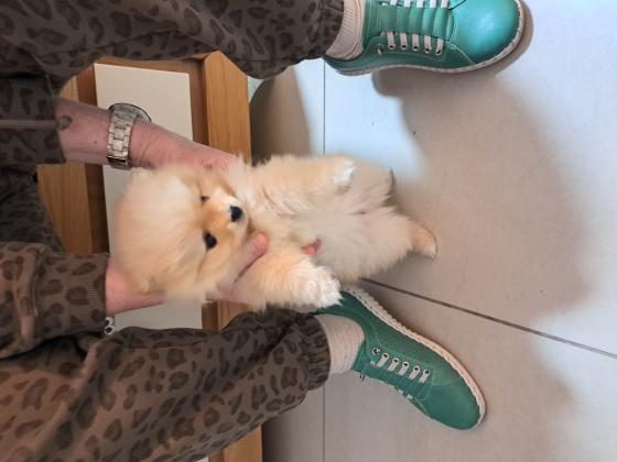 חמודה ואנרגטית