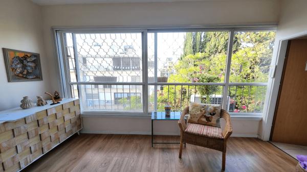 שינקין 13 (שיינקין)