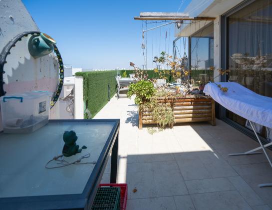 המלך אמציה 8 (רובע יג)