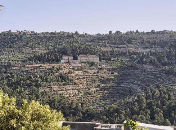 רפאל דה לפרגולה 6