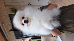 חמודה ואנרגטית