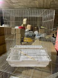 כלובים חדשים ומשומשים כלוב האכלת