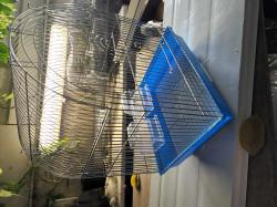 כלובים חדשים ומשומשים כלוב האכלת