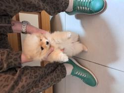 חמודה ואנרגטית