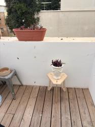 לשלוח הודעה בוואצאפ