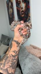 כרכן תירס מושלם! רגוע רגיל לידיים