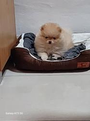 חמודה ואנרגטית