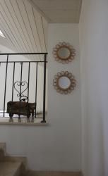 רחוב כוכב הירדן 29