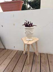 לשלוח הודעה בוואצאפ