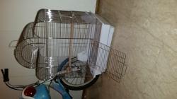 כלובים חדשים ומשומשים כלוב האכלת