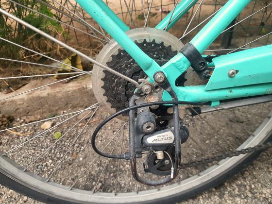 POLYGON OOSTEN נשים 26 אינץ'