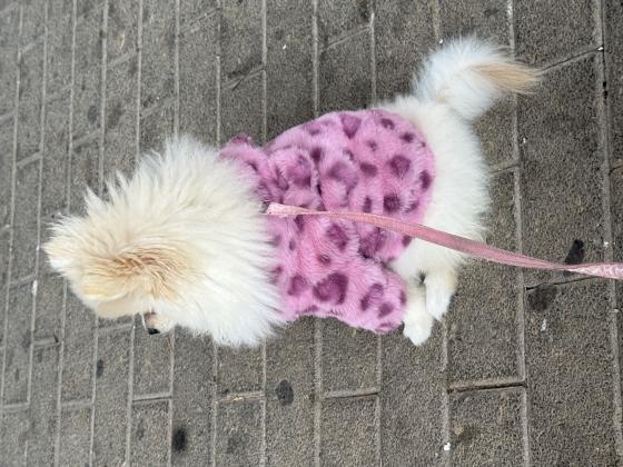 גורה מהממת אוהבת צומת לב