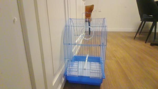 כלוב להאכלת יד נמכר בגלל