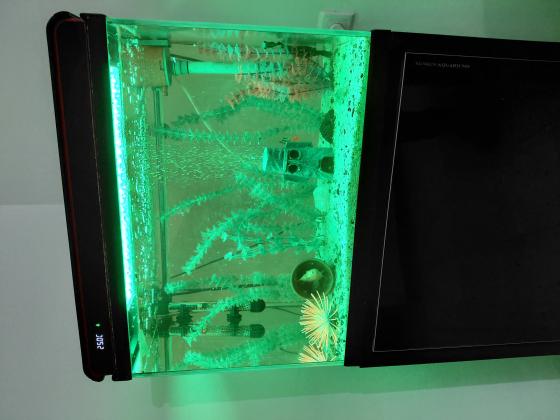 אווקריום שמור 70 ליטר בצבע