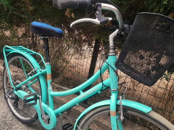 POLYGON OOSTEN נשים 26 אינץ'