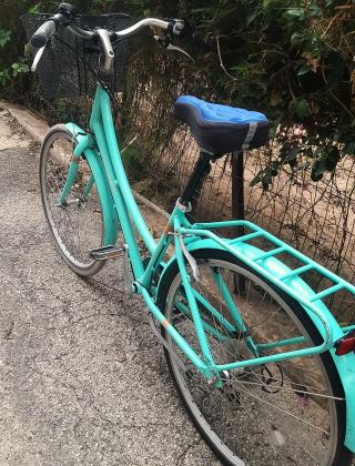 POLYGON OOSTEN נשים 26 אינץ'