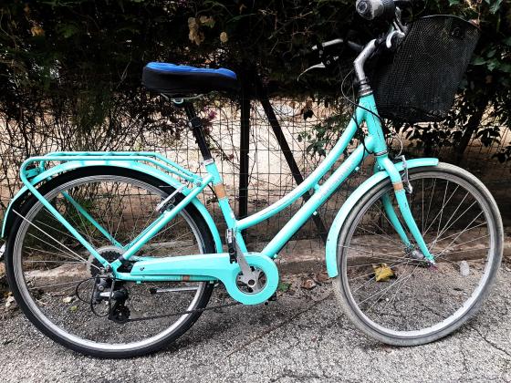 POLYGON OOSTEN נשים 26 אינץ'