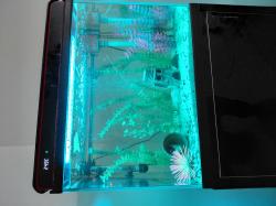 אווקריום שמור 70 ליטר בצבע