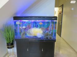 אקווריום יוקרתי במצב חדש!אקווריום איכות...