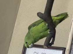 ילו נאפ בת 5 חודשים