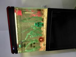 אווקריום שמור 70 ליטר בצבע