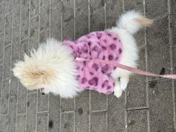 גורה מהממת אוהבת צומת לב