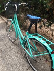 POLYGON OOSTEN נשים 26 אינץ'