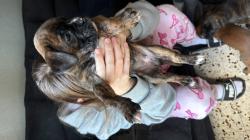 הכי יפים בארץ אמא ואבא