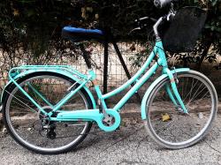 POLYGON OOSTEN נשים 26 אינץ'