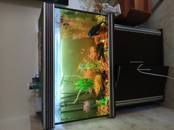 אקווריום כולל כל הציוד הנדרש