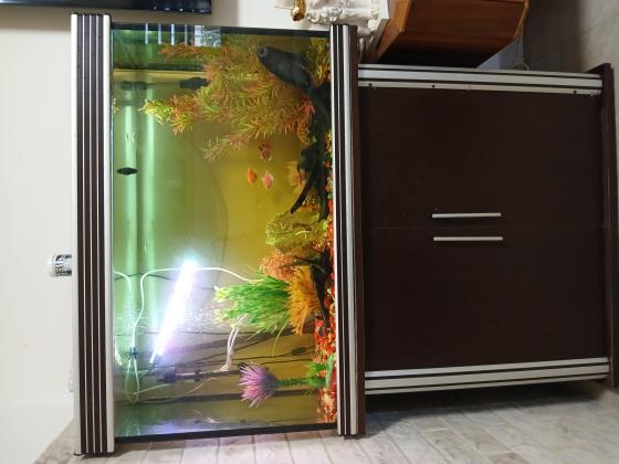 אקווריום כולל כל הציוד הנדרש