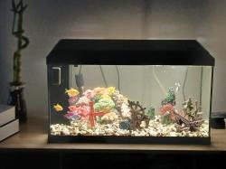 אקווריום של אקווה מתאים לכל