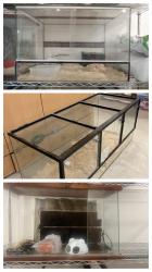 3 טרריומים וציוד במחיר מציאה!עקב