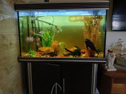 אקווריום כולל כל הציוד הנדרש