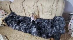 חביב אנרגטי שמח טוב עם