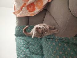 מאוד חברותי