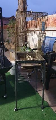 למכירה במחיר שלא תמצאו בשום