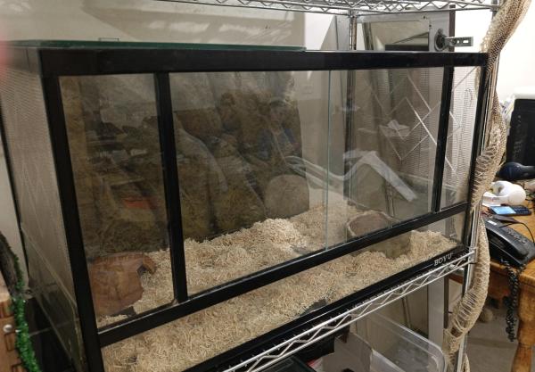 למכירה טרריום 80*45*40 של חברת