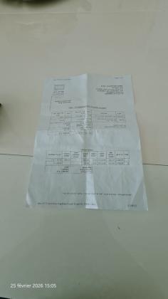 שטיח בהיר עם צבע :